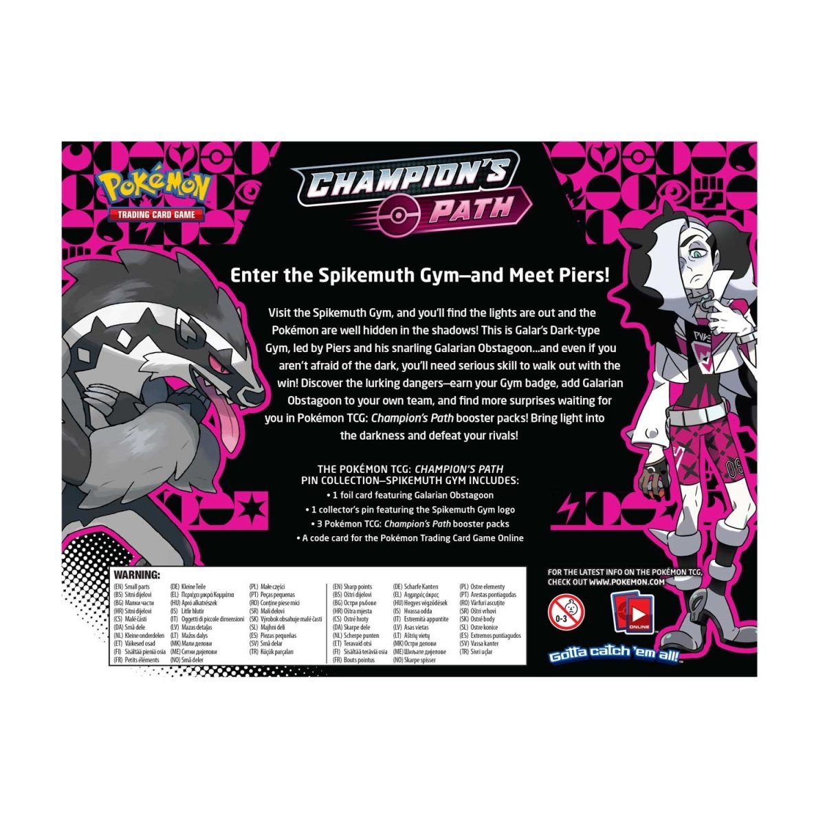 Pokemon Champion's Path - Pin Collection (Spikemuth Gym)