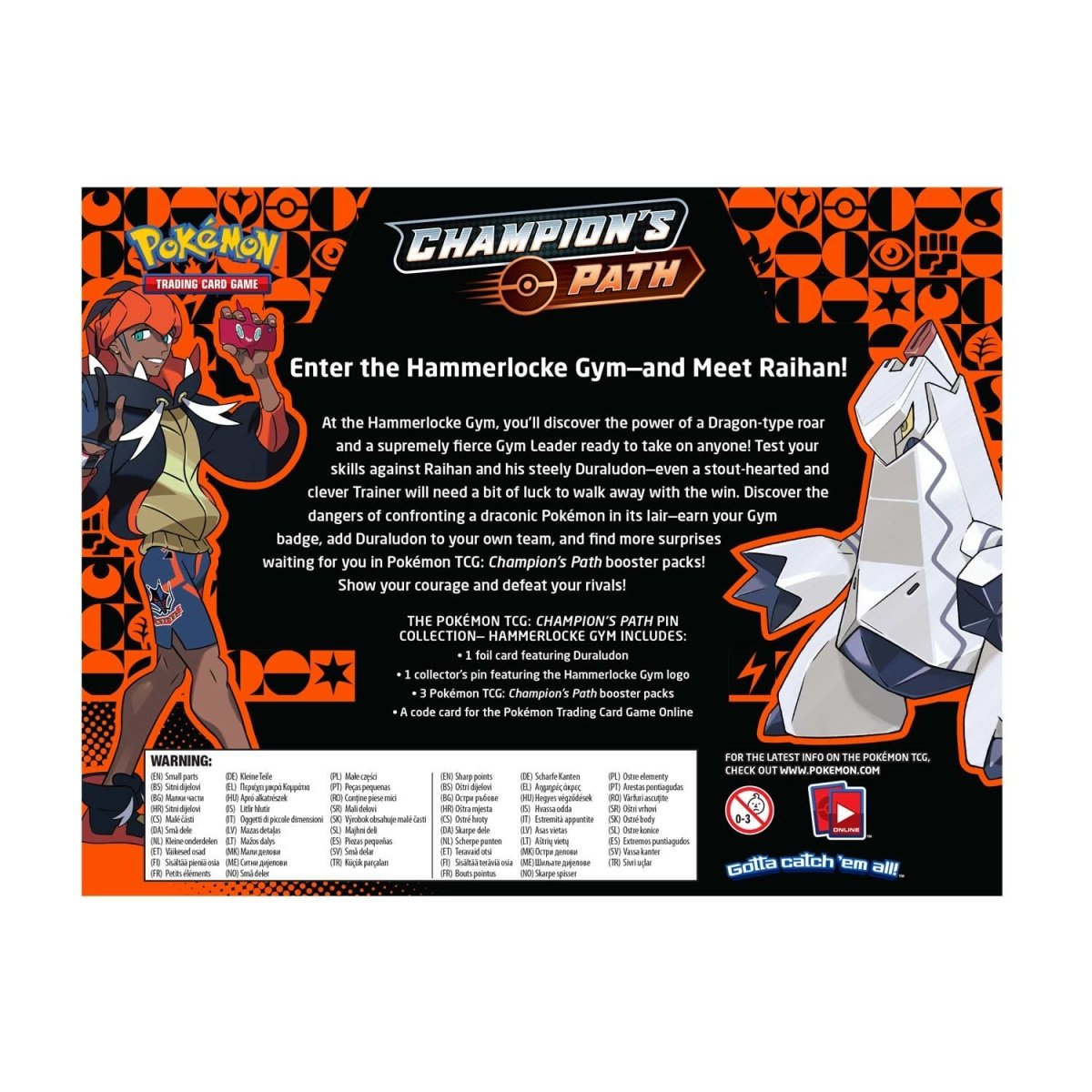 Pokemon Champion's Path - Pin Collection (Hammerlocke Gym)